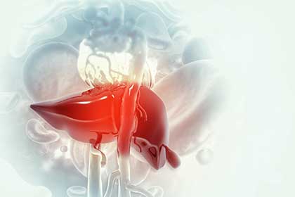 liver with increased enzymes