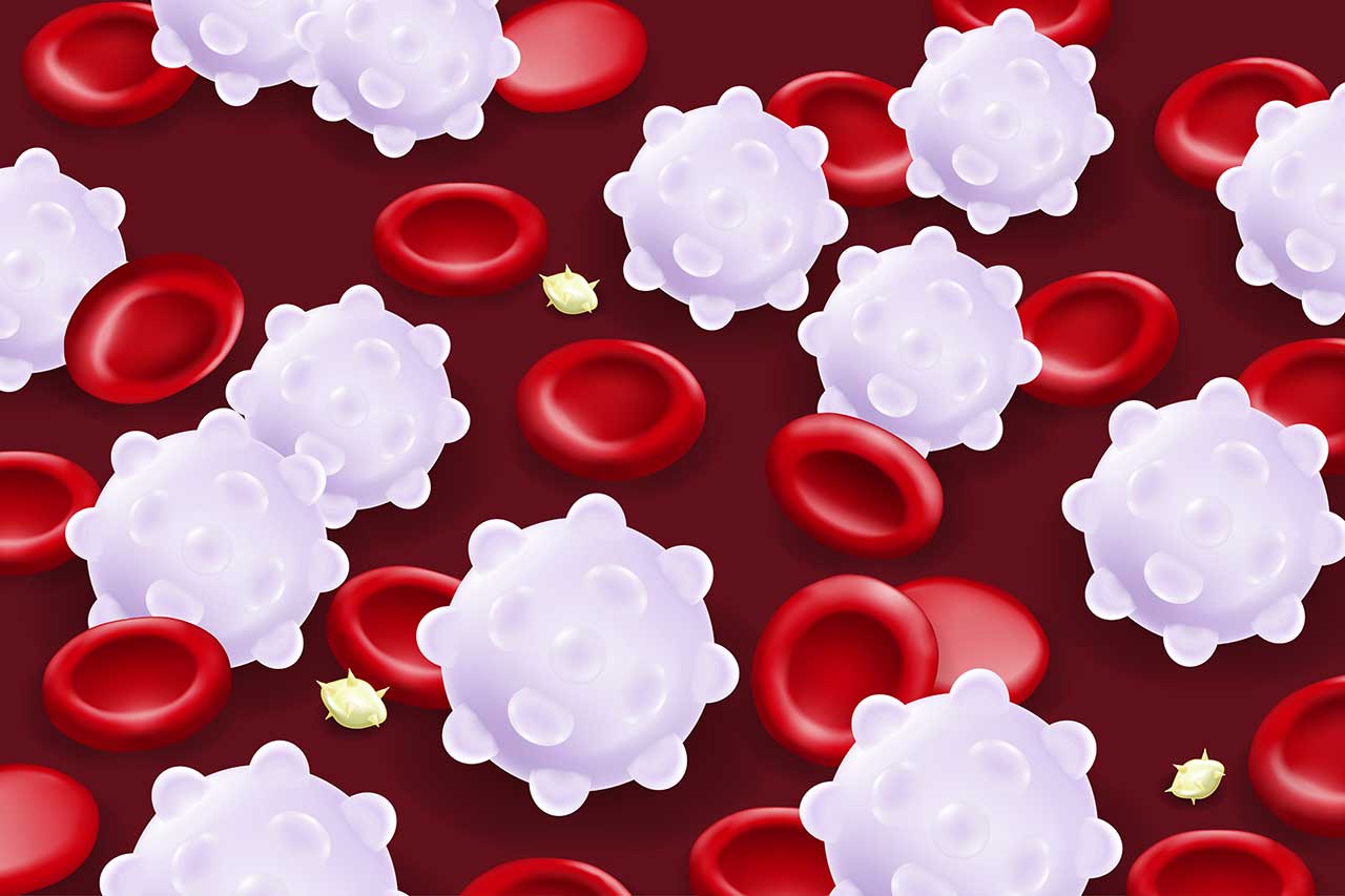 Copiktra and white blood cells