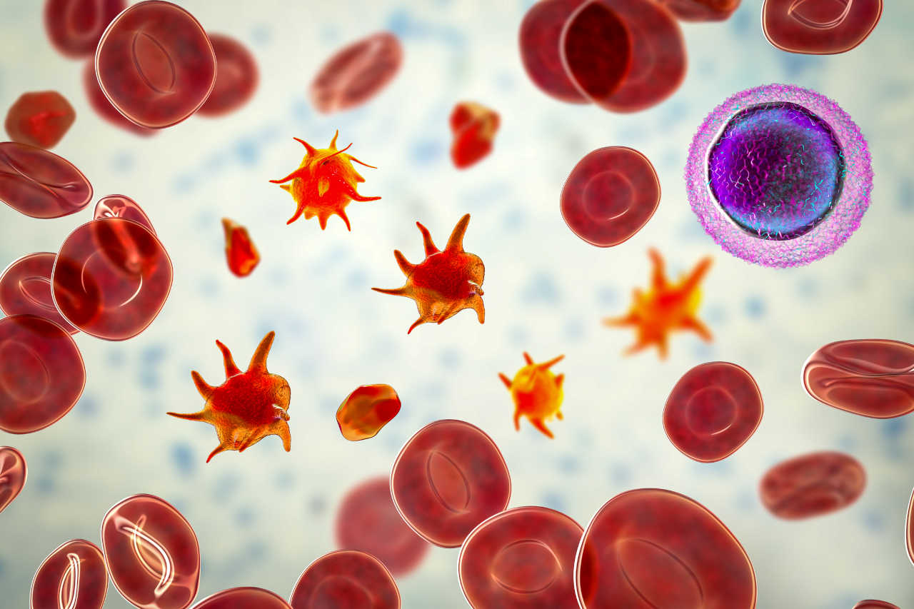 3D illustration of platelets