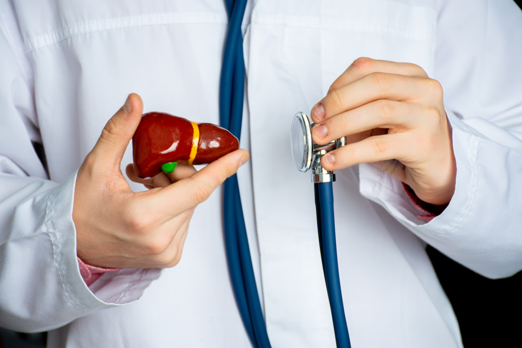 Doctor holds a liver figure in one hand, a stethoscope in the other