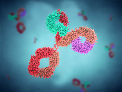 3d illustration of multicolored antibody