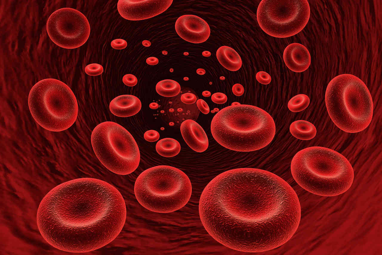 3d rendering of red blood cells