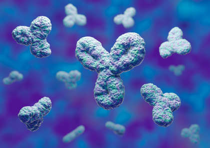 3D illustration of human antibodies 