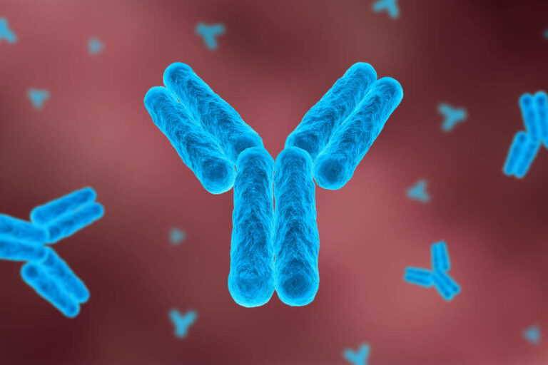 3D Digital render of a blue antibodies against red background