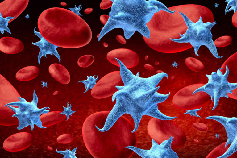 3D image of platelets in the blood