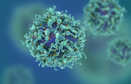 3D illustration of T-cells