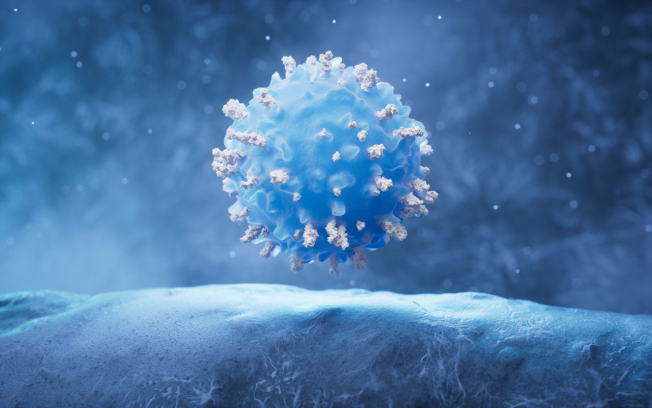 B cells in someone with CAR-T Therapy-Related Hypogammaglobulinemia