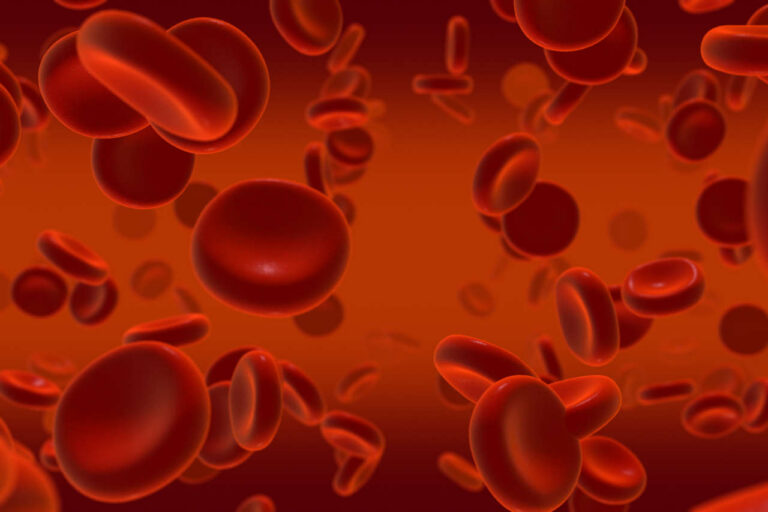 Illustration of red blood cells on a red background