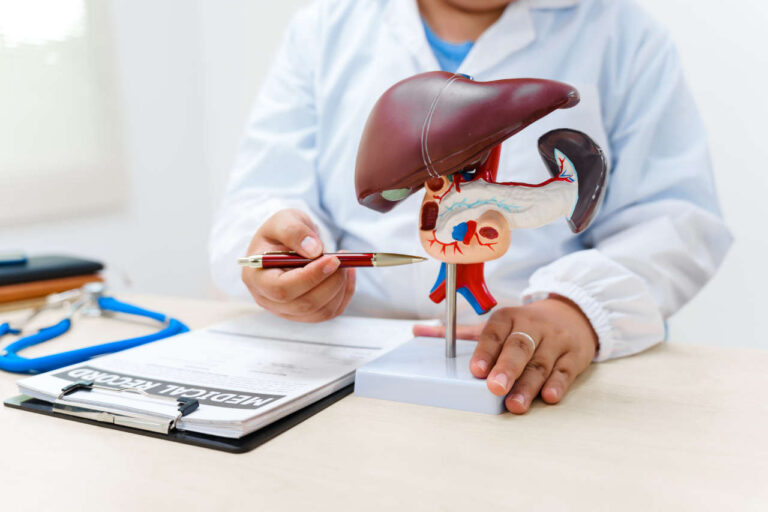Doctor with a model of a liver, explaining how Imjudo works