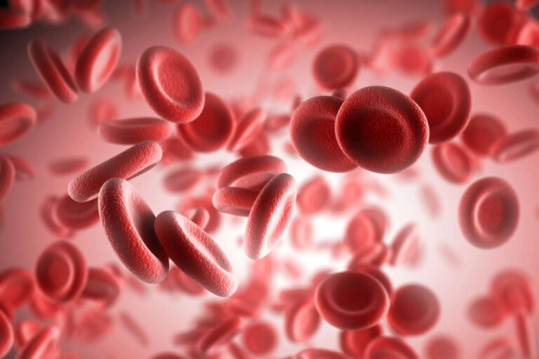 Illustration of red blood cells